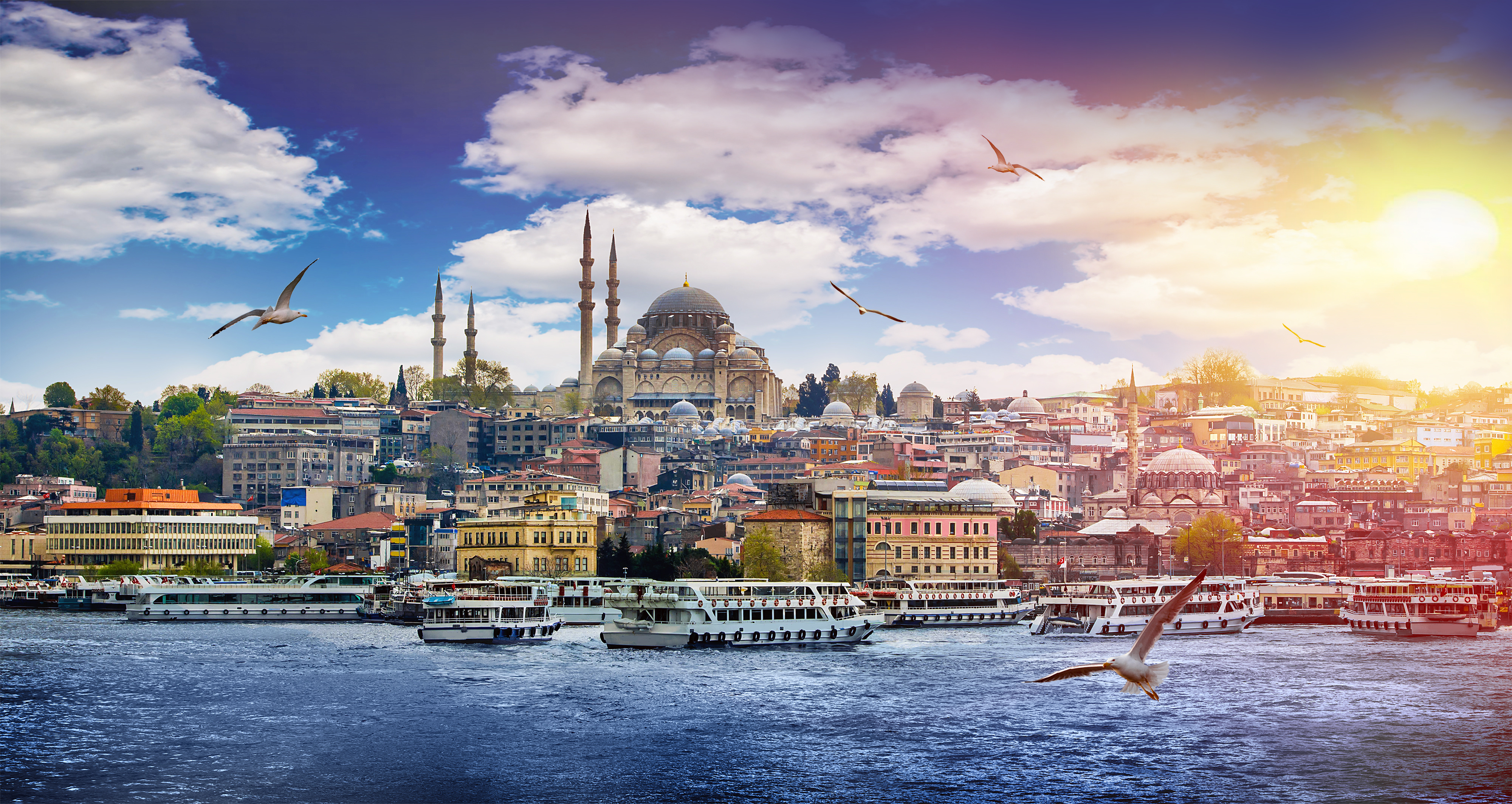Istanbul om sommeren med måger