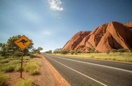 En vej med et advarselsskilt for kænguruer i Australien.